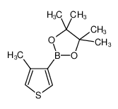 4-甲基噻吩-3-硼酸频哪酯