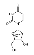 3083-77-0 阿糖尿苷