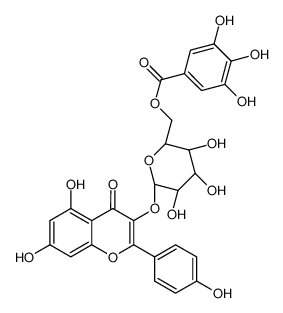 [(2R,3S,4S,5R,6S)-6-[5,7-dihydroxy-2-(4-hydroxyphenyl)-4-oxochromen-3-yl]oxy-3,4,5-trihydroxyoxan-2-yl]methyl 3,4,5-trihydroxybenzoate 56317-05-6