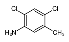 2,4-Dichloro-5-methylaniline 17601-75-1