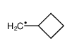 16447-31-7 cyclobutylmethyl radical