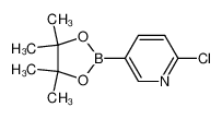 2-Chloropyridine-5-boronic acid pinacol ester 444120-94-9