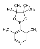 1032358-02-3 structure, C13H20BNO2