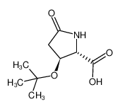 928209-82-9 (2S,3S)-3-(tert-butoxy)-5-oxopyrrolidine-2-carboxylic acid