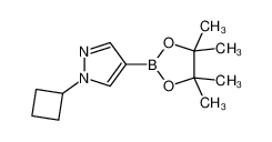 N-环丙基-吡唑-4-频哪醇二硼酸酯