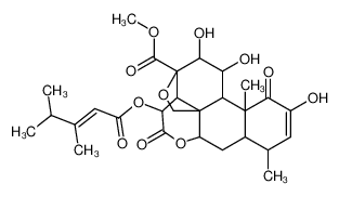 bruceanol F 101910-72-9