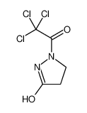 303994-71-0 structure, C5H5Cl3N2O2