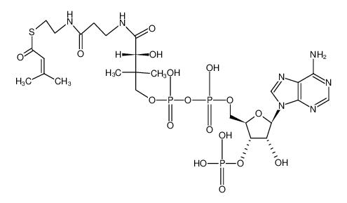 6712-03-4 structure