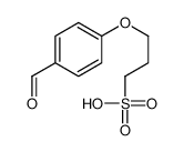 58464-26-9 3-(4-formylphenoxy)propane-1-sulfonic acid