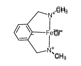 97251-81-5 structure, C12H20Cl2FeN2++