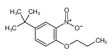 4-tert-butyl-2-nitro-1-propoxybenzene 33353-60-5