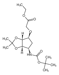 1402149-97-6 structure, C17H29NO7