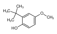 4-羟基-3-叔丁基-苯甲醚