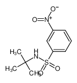 N-叔丁基-3-硝基苯磺酰胺