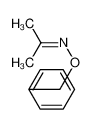 N-phenylmethoxypropan-2-imine 3376-36-1