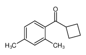 898790-68-6 structure, C13H16O