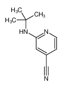 127680-80-2 2-(tert-butylamino)pyridine-4-carbonitrile