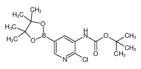 1246184-56-4 structure, C16H24BClN2O4