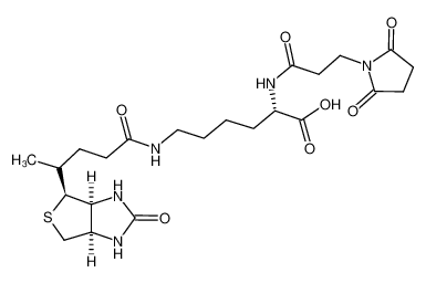 (2R)-6-[5-[(3aS,4S,6aR)-2-oxo-1,3,3a,4,6,6a-hexahydrothieno[3,4-d]imidazol-4-yl]pentanoylamino]-2-[3-(2,5-dioxopyrrol-1-yl)propanoylamino]hexanoic acid 102849-12-7