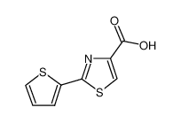 2-thiophen-2-yl-1,3-thiazole-4-carboxylic acid 24044-07-3