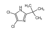 72796-59-9 2-(tert-butyl)-4,5-dichloro-1H-imidazole