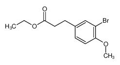 53375-71-6 structure