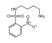 N-(4-aminobutyl)-2-nitrobenzenesulfonamide 211512-13-9