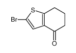 2-bromo-6,7-dihydro-5H-1-benzothiophen-4-one 25074-25-3