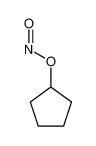 cyclopentyl nitrite 67764-33-4