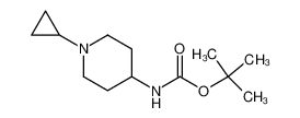 tert-butyl N-(1-cyclopropylpiperidin-4-yl)carbamate 534595-68-1