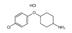 4-(4-氯-苯氧基)-环己胺盐酸盐