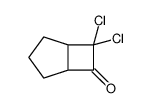 32166-28-2 6,6-dichlorobicyclo[3.2.0]heptan-7-one