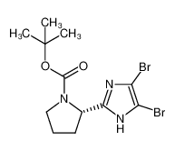 (S)-tert-butyl 2-(4,5-dibromo-1H-imidazol-2-yl)pyrrolidine-1-carboxylate 1240893-76-8