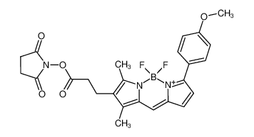 Bodipy-(TMR)-OSu 485397-12-4