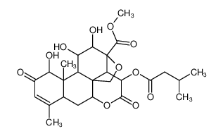 57629-50-2 isobrucein A