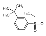 88315-72-4 1-tert-butyl-3-ethylsulfonylbenzene