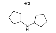 二环戊胺盐酸盐