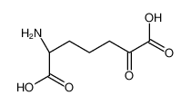 (S)-2-amino-6-oxopimelic acid 75650-93-0