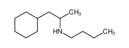 N-(1-cyclohexylpropan-2-yl)butan-1-amine 92162-16-8