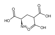 Γ-羧基-D-谷氨酸