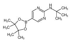 2-T-丁基氨基嘧啶-5-硼酸频那醇酯