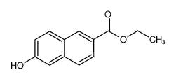 17295-12-4 structure