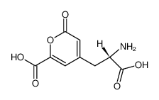 L-stizolobic acid 15911-87-2