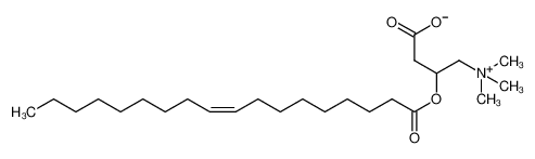 13962-05-5 structure, C25H47NO4