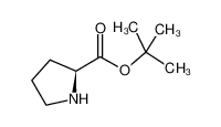 L-脯氨酸叔丁酯