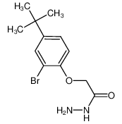 2-(2-bromo-4-tert-butylphenoxy)acetohydrazide 52570-06-6