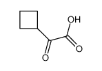 13884-85-0 环丁基-氧代-乙酸