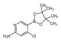 944401-60-9 structure, C11H16BClN2O2