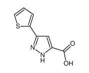 5-thiophen-2-yl-1H-pyrazole-3-carboxylic acid 182415-24-3