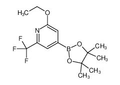 1256359-30-4 structure, C14H19BF3NO3